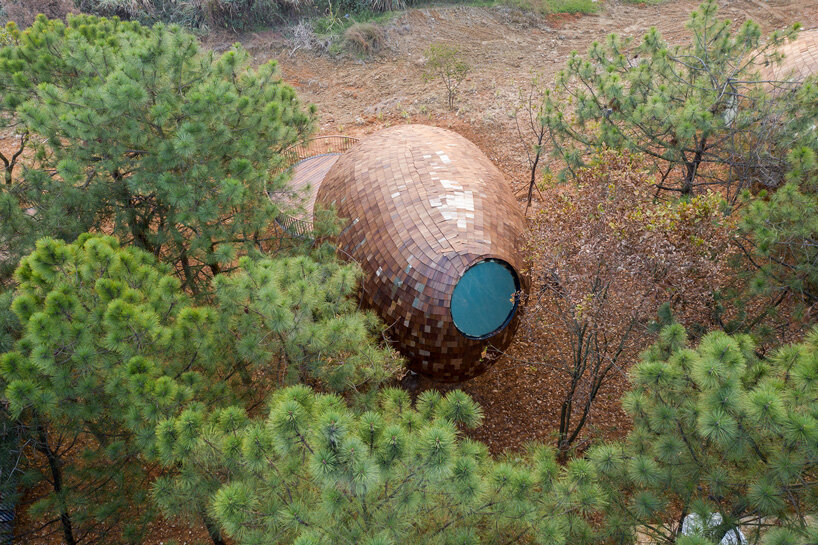 ZJJZ clads ellipsoidal guest houses in mirrored aluminum + pine shingles in rural china