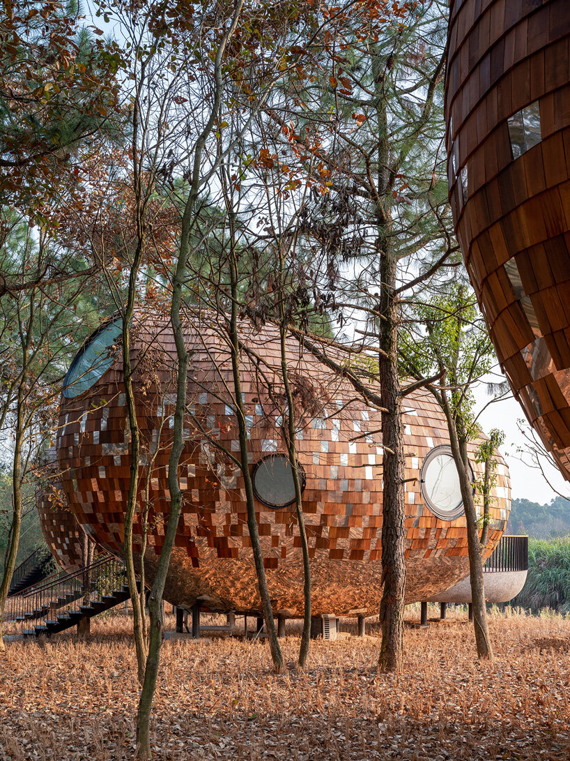 ZJJZ clads ellipsoidal guest houses in mirrored aluminum + pine shingles in rural china