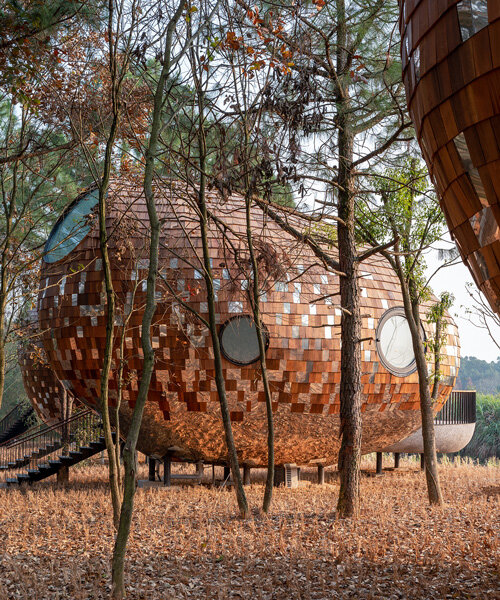 ZJJZ clads ellipsoidal guest houses in mirrored aluminum + pine shingles in rural china