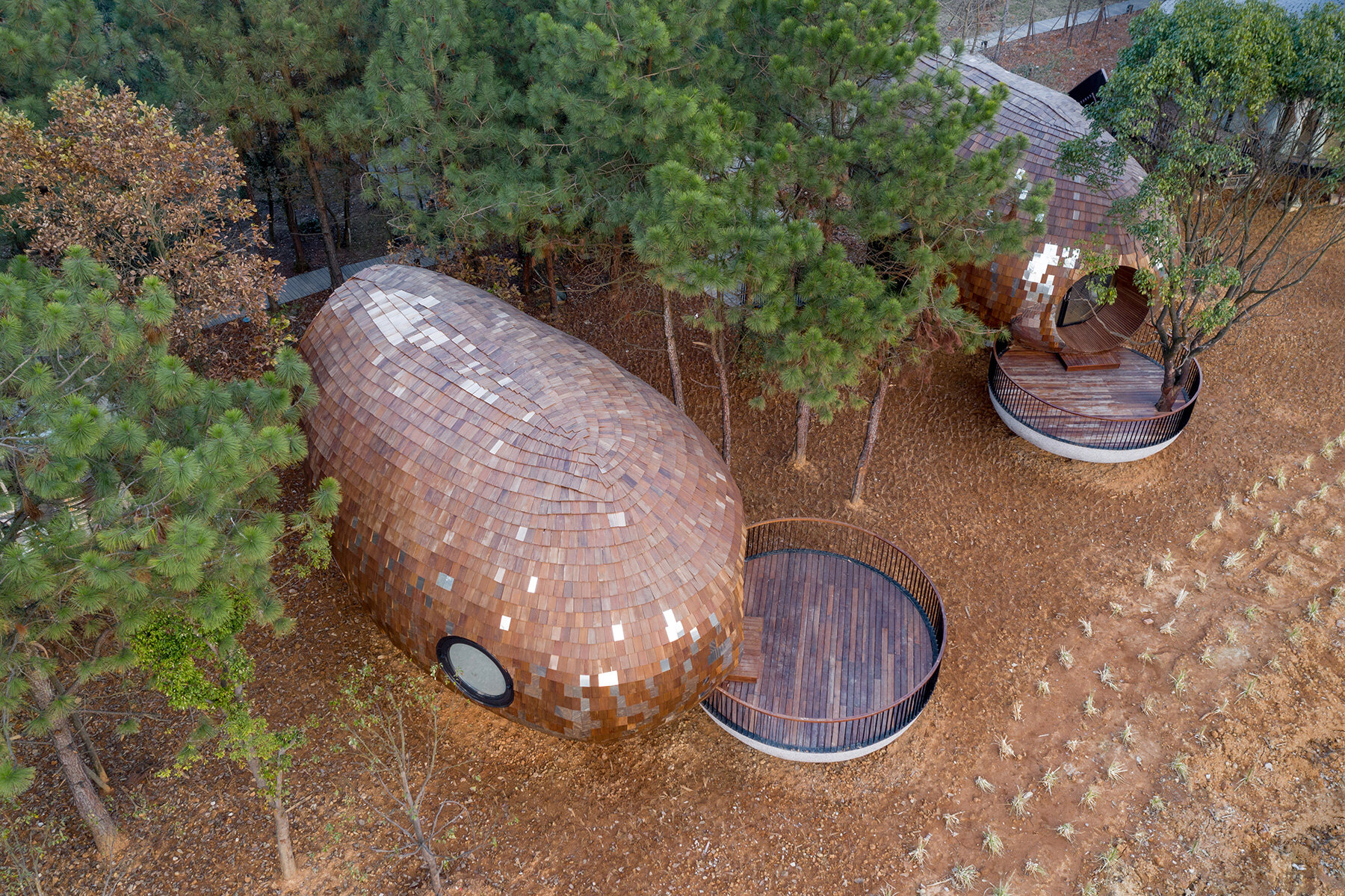 zjjz-the-seeds-wood-houses-in-jiangxi-china-designboom-large