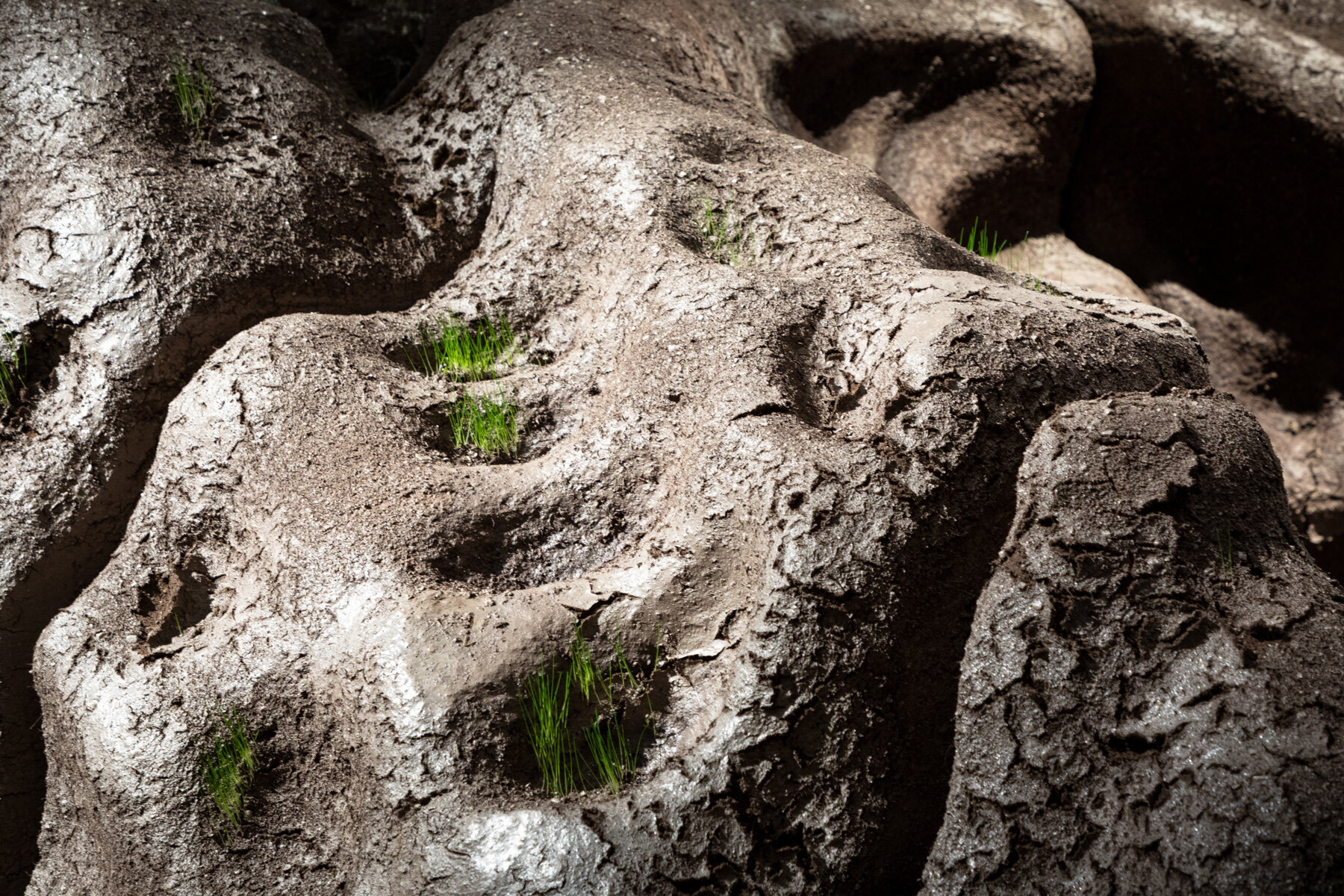 MAEID-magic-queen-3D-printed-soil-landscape-venice-biennale-designboom-1800c