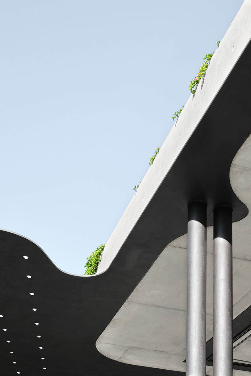 tribe studio architects' mosman house II takes shape as a floating, charred timber volume