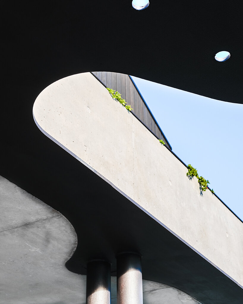 tribe studio architects' mosman house II takes shape as a floating, charred timber volume