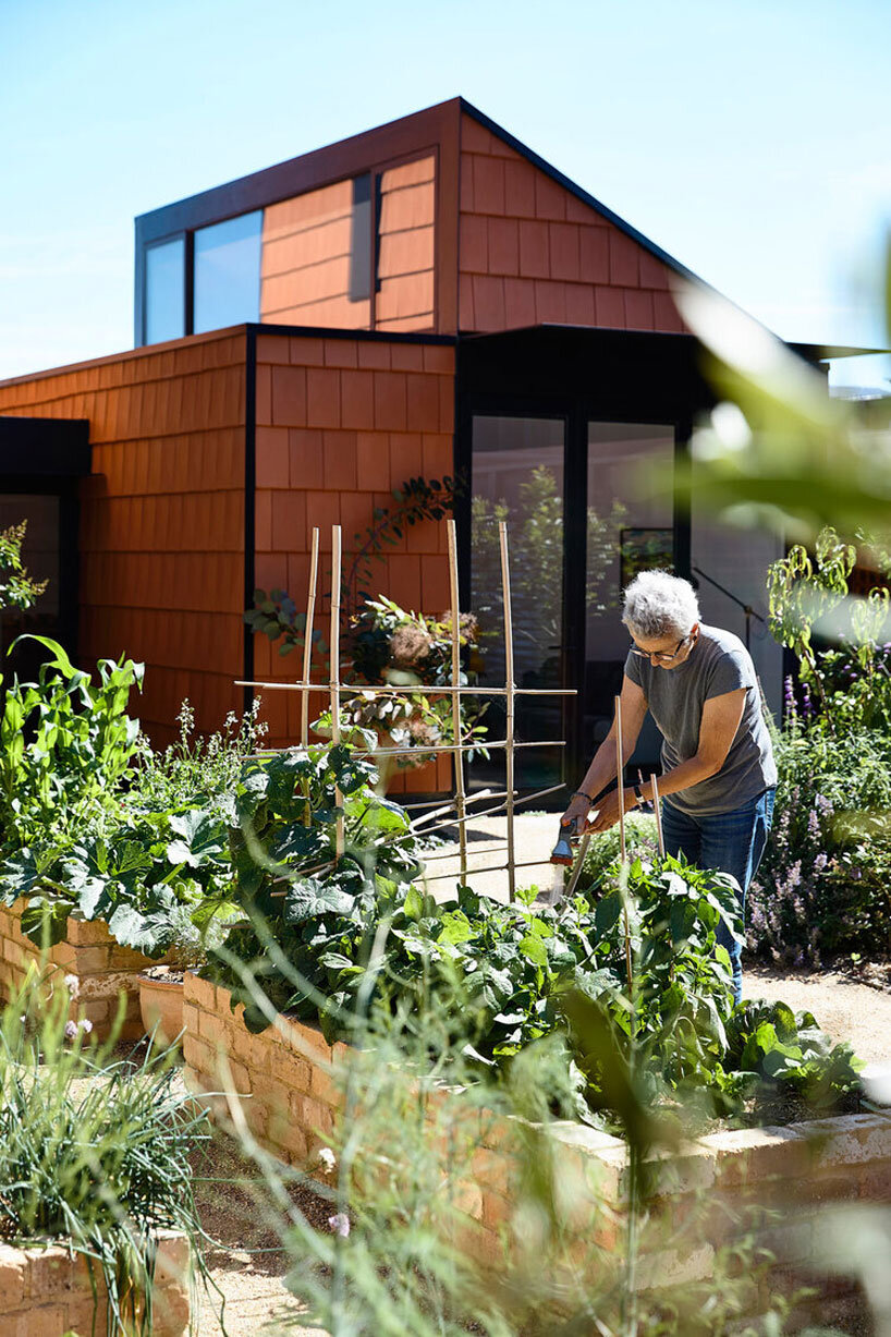 austin maynard architects' terracotta house reflects the spirit of a vegetable garden