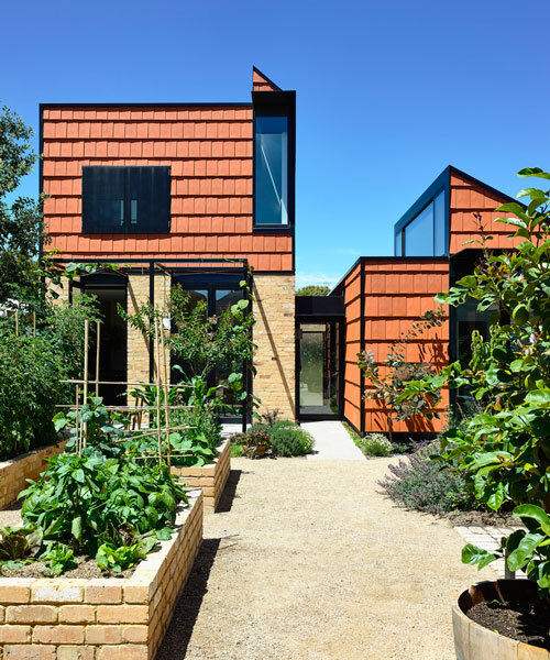 austin maynard architects' terracotta house reflects the spirit of a vegetable garden