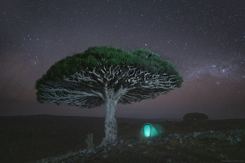 Daniel Kordan Captures The Peculiar Dragon Blood Trees At Yemen S Socotra Islands