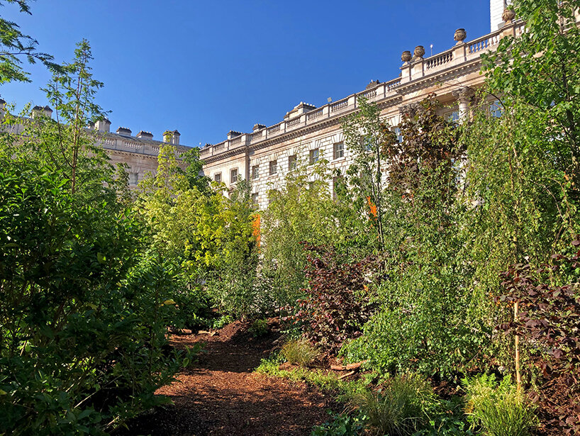 400 trees transform urban square into a 'forest for change' at london design biennale 2021