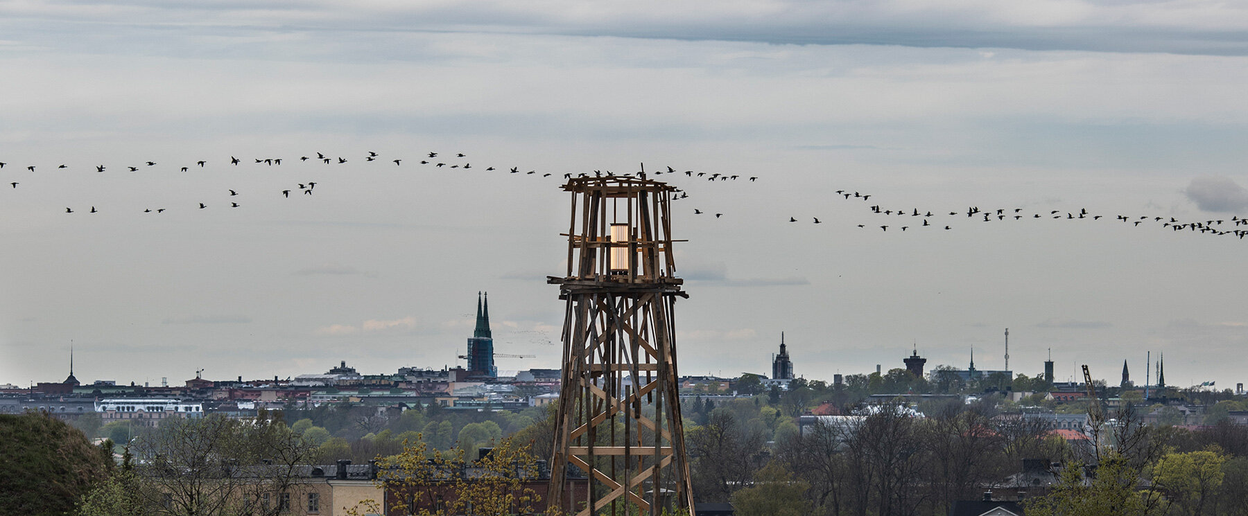 interview-helsinki-biennal-curators-designboom-08X