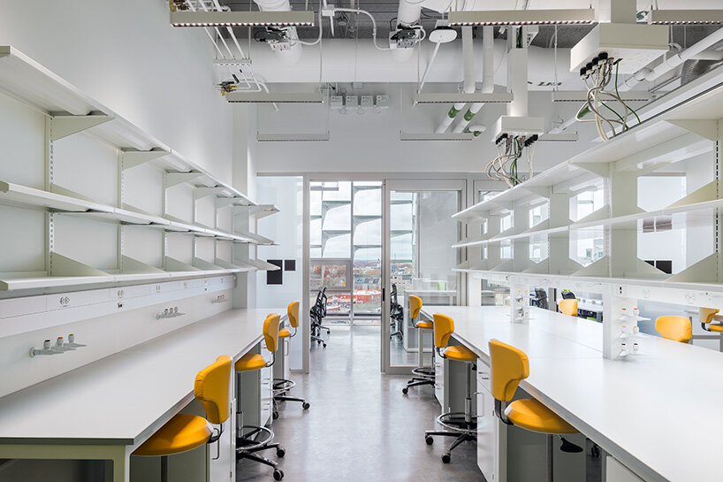 how harvard + behnisch realized one of the world's healthiest lab buildings