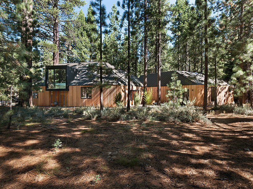 joongwon architects builds a translucent cabin in lake tahoe designed around the trees