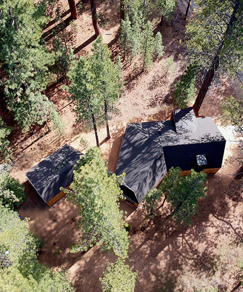 joongwon architects builds a translucent cabin in lake tahoe designed around the trees