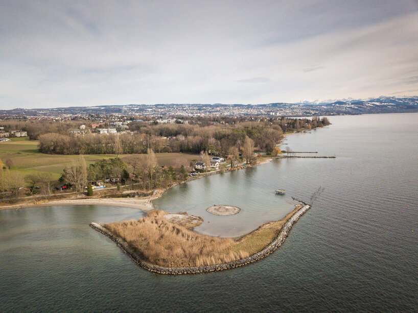 nests and nesting boxes inspire 'bird island house' in switzerland by LOCALARCHITECTURE