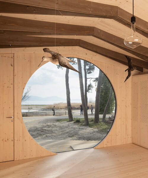 nests and nesting boxes inspire 'bird island house' in switzerland by LOCALARCHITECTURE