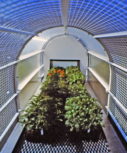experimental 80s greenhouse explored how to grow plants more efficiently in cold climates