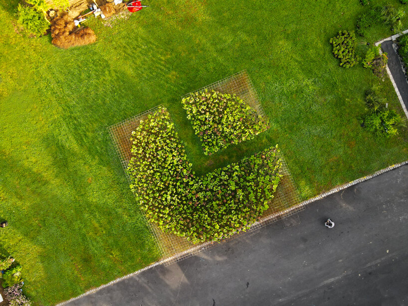 nomad studio kokedama forest