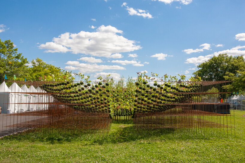 nomad studio kokedama forest