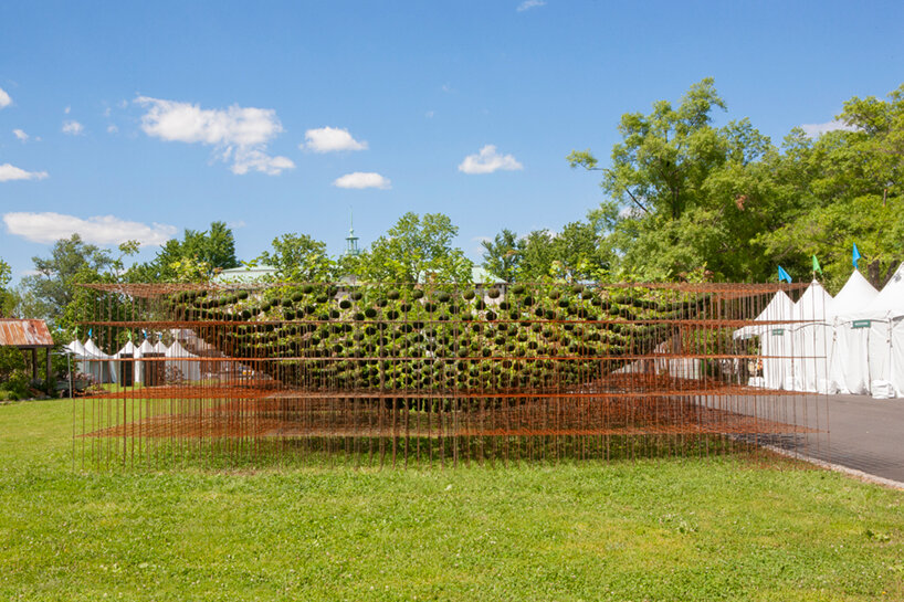 nomad studio sculpts an ethereal woodland forest of floating japanese kokedamas