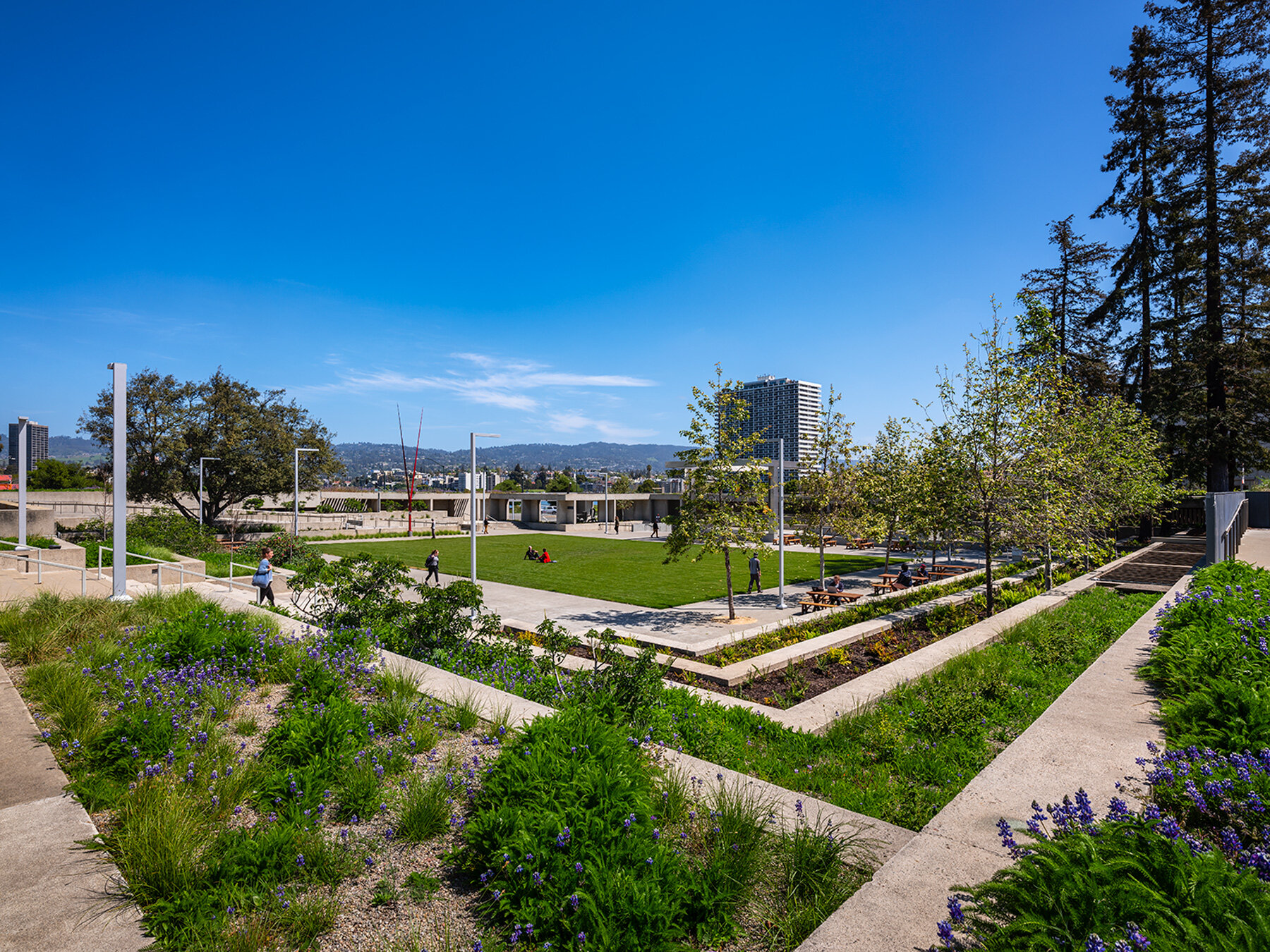 how the oakland museum of california transformed its modernist campus