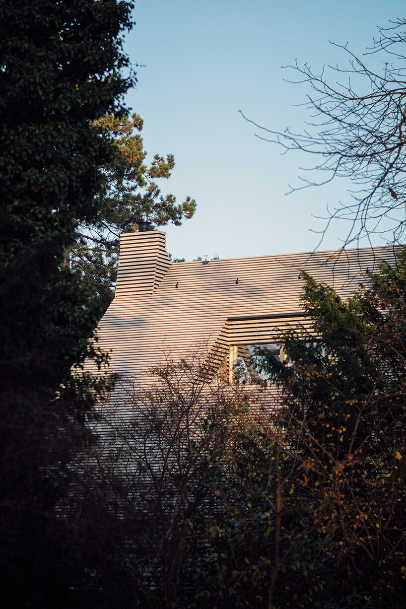 rundzwei architekten envelops 'pergola house' in berlin with unified wooden slat façade