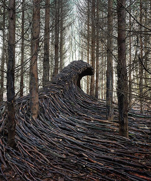 photographer builds 9 massive waves of deadwood in a forest near hamburg
