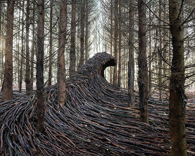 photographer builds 9 massive waves of deadwood in a forest near hamburg