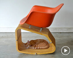 natura futura arquitectura builds little shelters for homeless pets