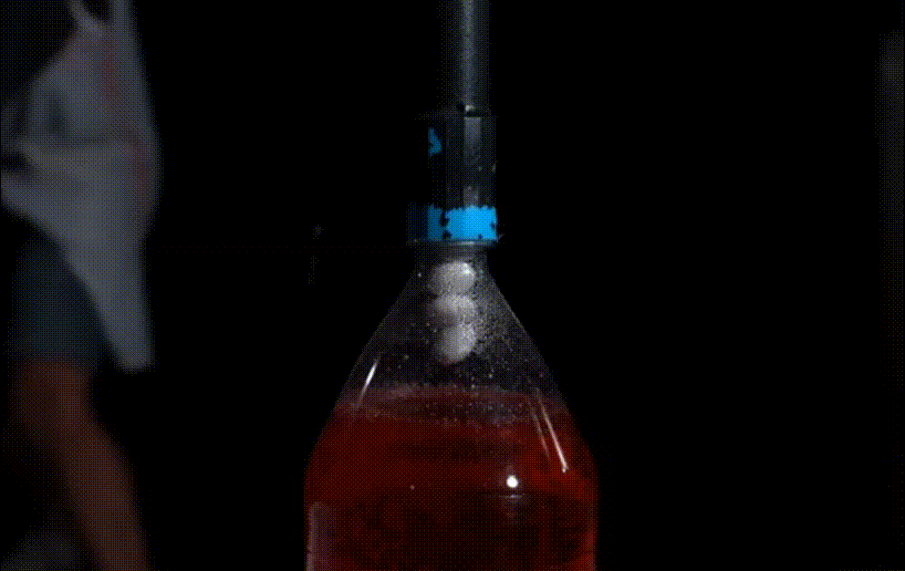 slow motion soda mints
