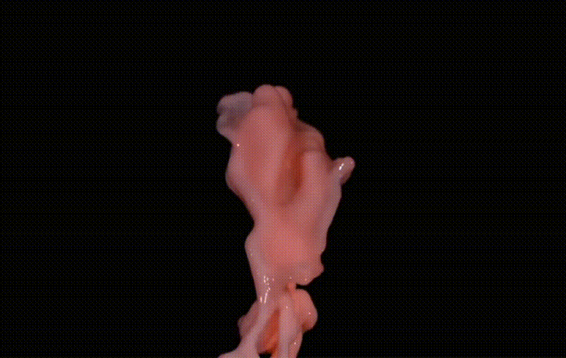 a robotic arm captures the explosive mixture of soda and mints in stunning slow motion