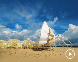 theo jansen's wind-powered strandbeests evolve into flying creatures