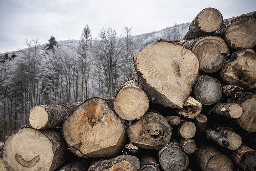 +- 160 years book celebrates origin of bentwood furniture and home of TON