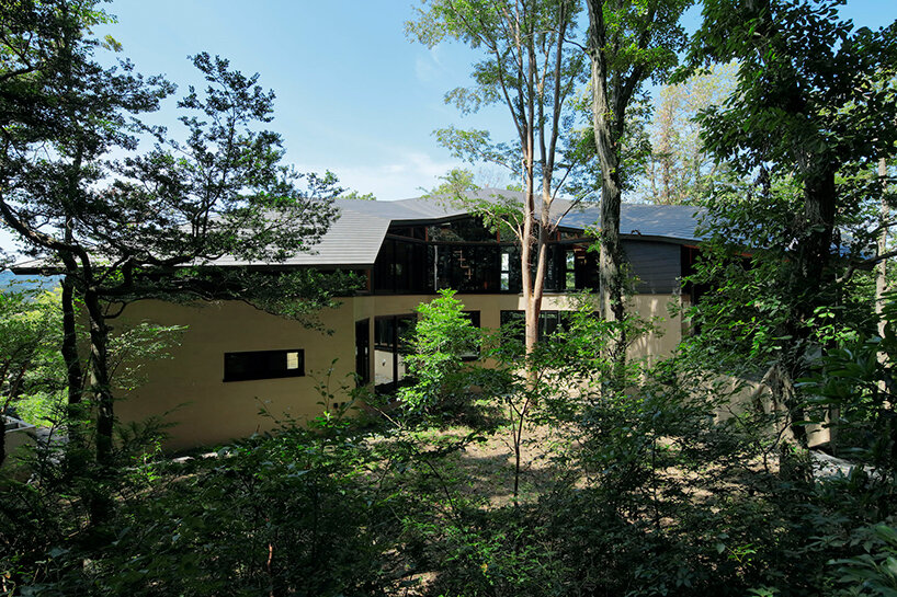 irregular-angled 'phase dance' residence by takeshi hirobe wraps around a large tree in japan