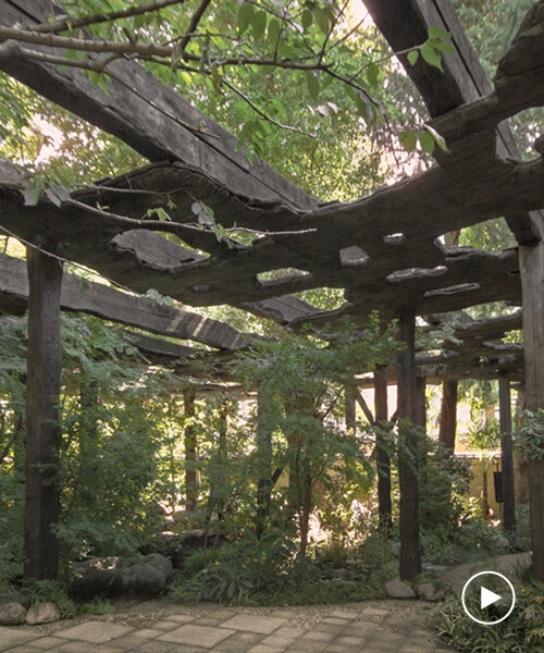 junya ishigami adds charred wood 'kokage-gumo' pavilion to abandoned tokyo mansion