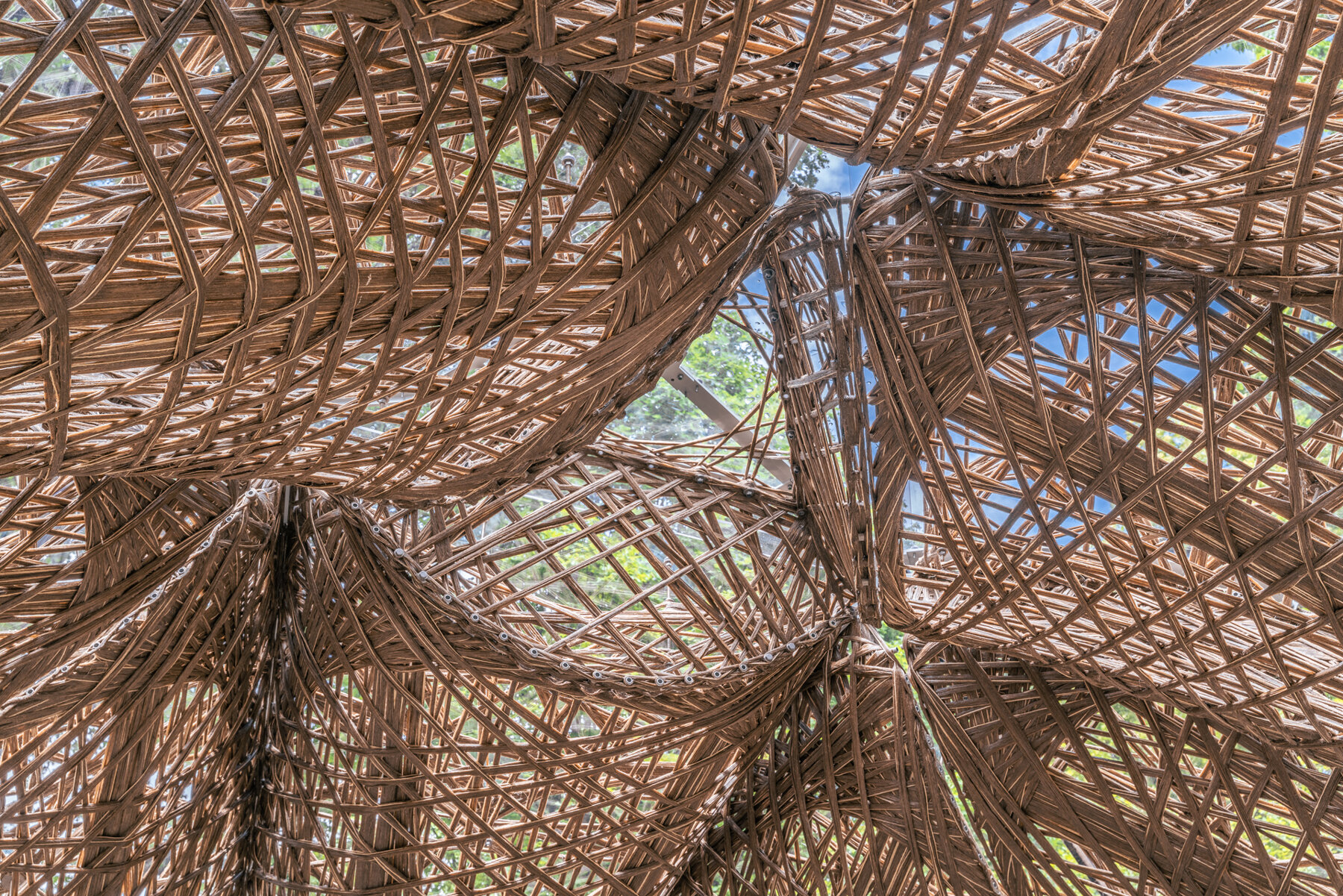 livmats-pavilion-botanic-garden-freiburg-germany-designboom-25X