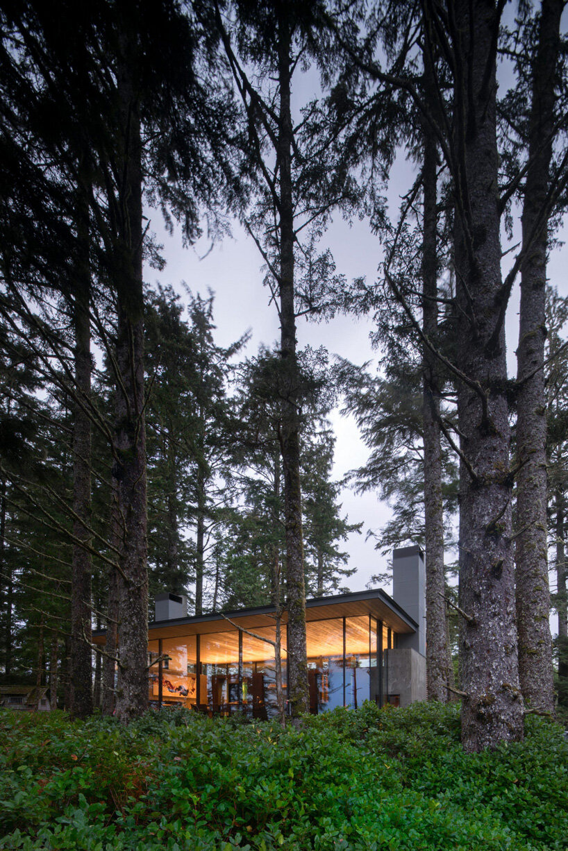 olson kundig's tofino beach house captures both forest and ocean views designboom
