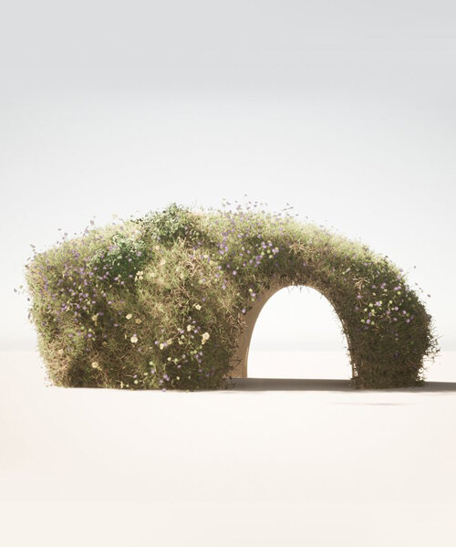 omri cohen creates living structural shells from jute, felt and wheatgrass seeds