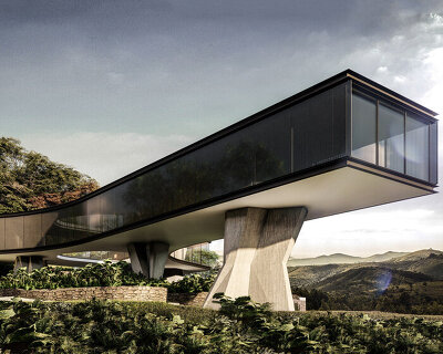 thick concrete pillars support tetro arquitetura's xingu house in brazil