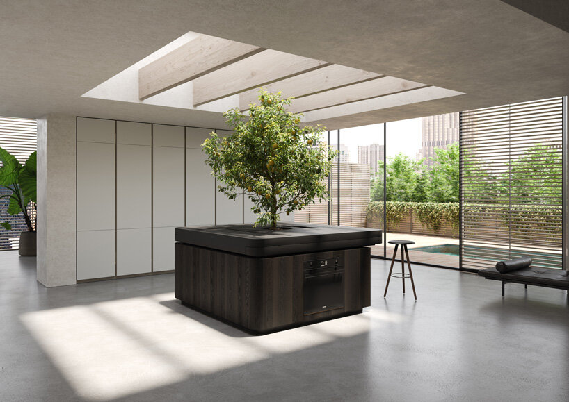 stefano boeri's tree-centered kitchen unit exhibited at milan design week 2021