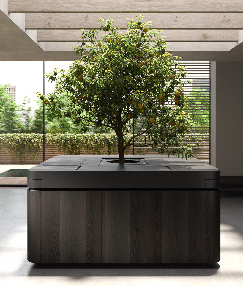 stefano boeri's tree-centered kitchen unit exhibited at milan design week 2021