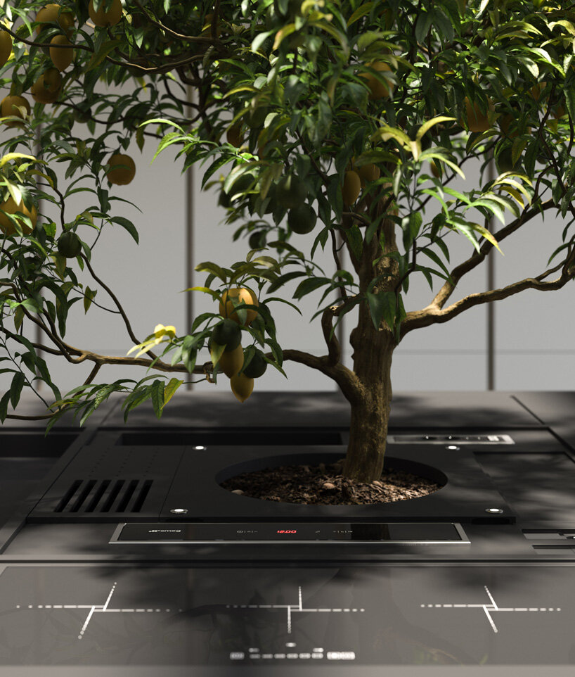 stefano boeri's tree-centered kitchen unit exhibited at milan design week 2021