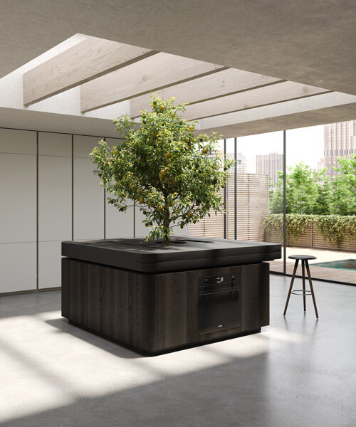 stefano boeri's tree-centered kitchen unit exhibited at milan design week 2021