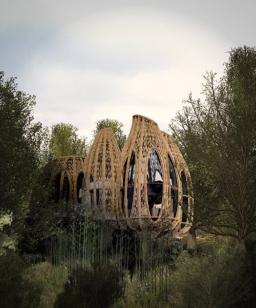 basket-inspired bamboo wellness resort hovers above chinese woodland