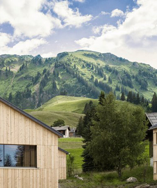 set of cozy wooden lodges fits naturally into austrian green landscape
