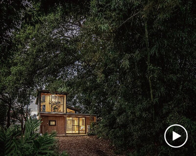 cozy timber-clad family home is nestled amidst green forest in taiwan