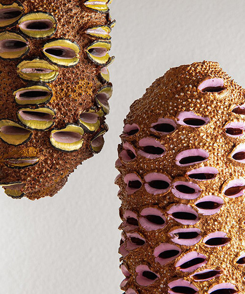 vivid seedpod artwork series highlights the hidden beauty of nature