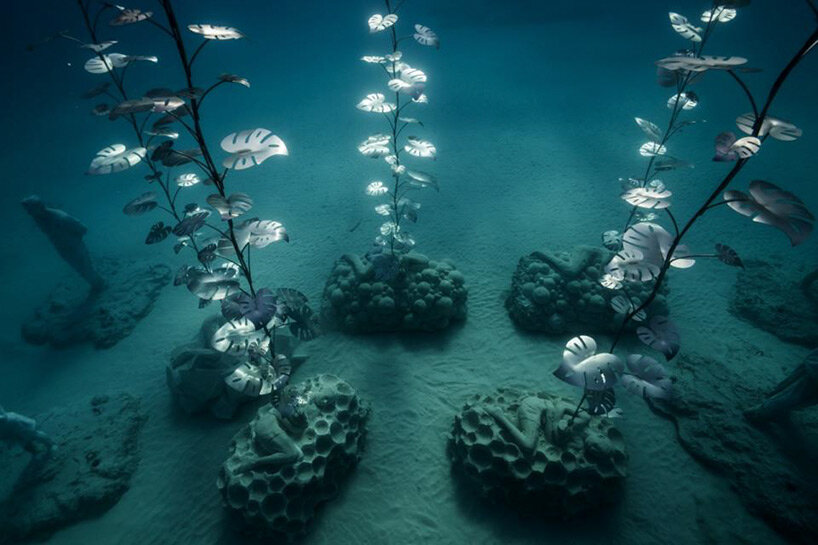 jason decaires taylor submerges intricate sculptural forest in the waters of ayia napa, cyprus