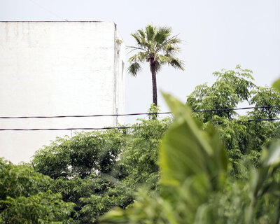1950s villa in downtown tunis is transformed into a slow fashion brand showroom
