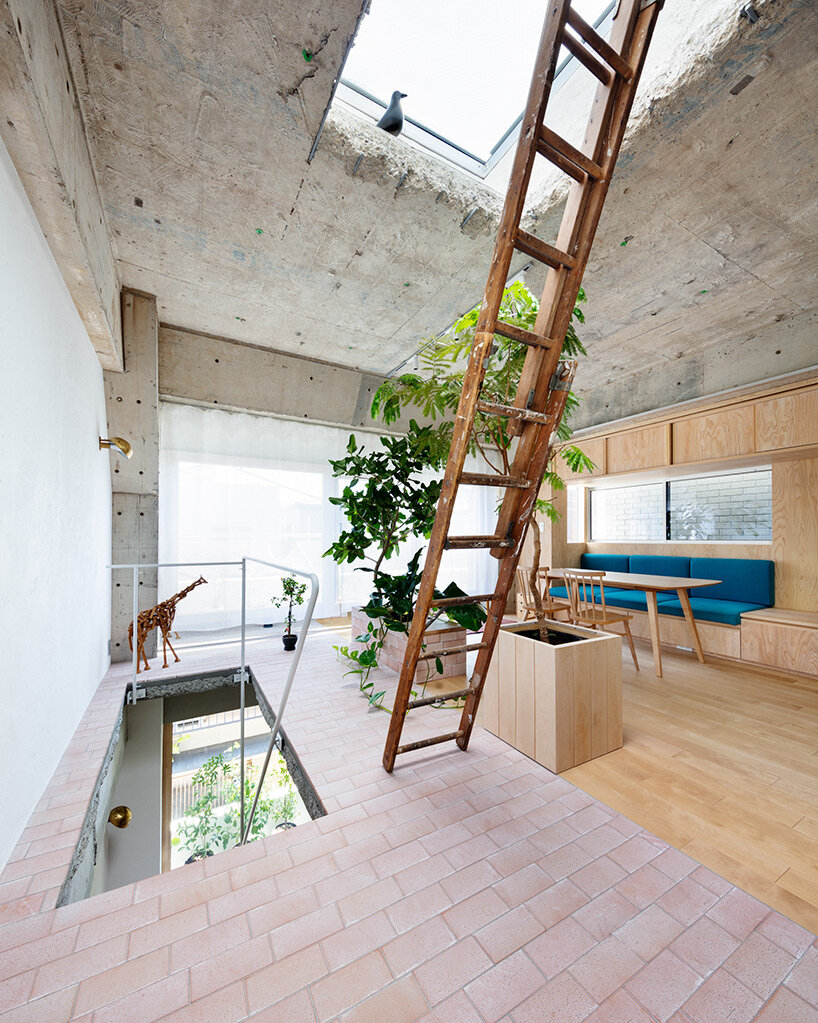 planted staircase penetrates exposed concrete construction in tokyo by mamm design