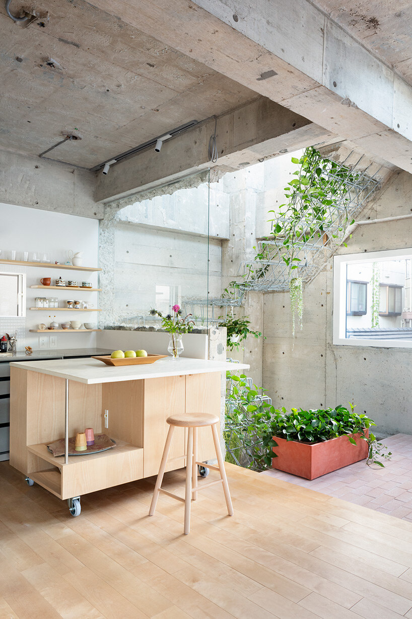 planted staircase penetrates exposed concrete construction in tokyo by mamm design