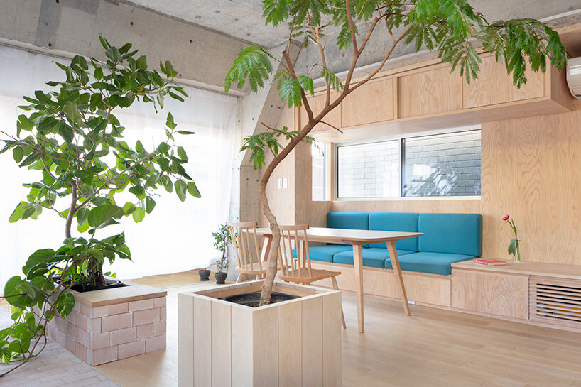 planted staircase penetrates exposed concrete construction in tokyo by mamm design