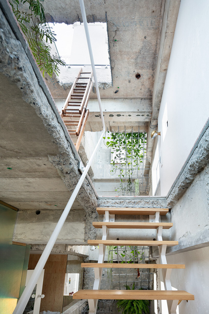 planted staircase penetrates exposed concrete construction in tokyo by mamm design